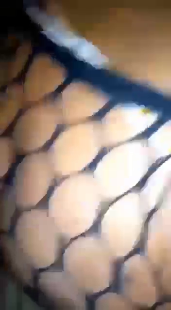 Fucking Her with My Big Dick in Stockings